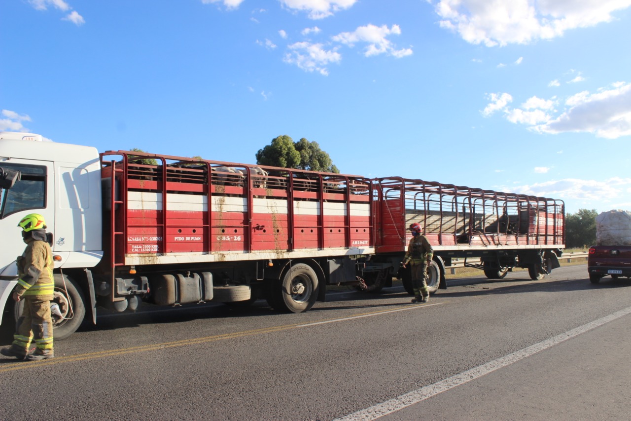 camion vacunao