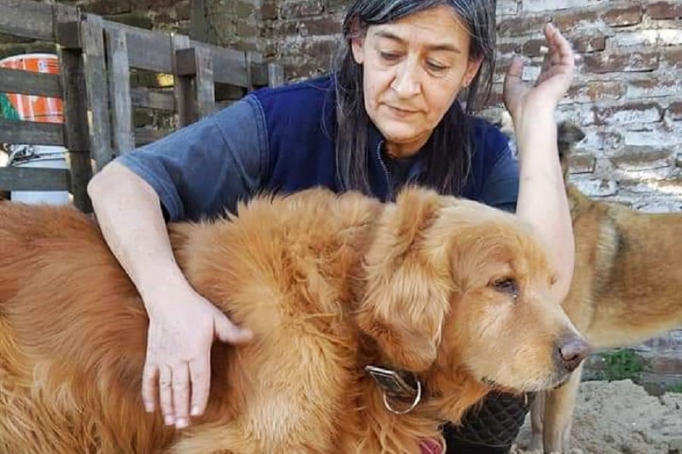 La asociación se responsabiliza de alrededor de 69 perros.