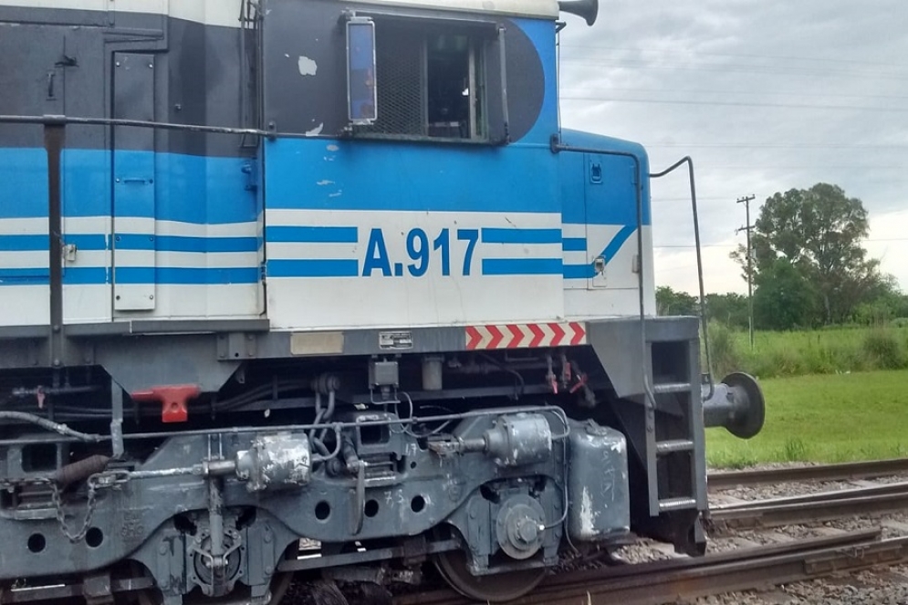  La formación del Ferrocarril Roca que embistió a la chica de 19 años.