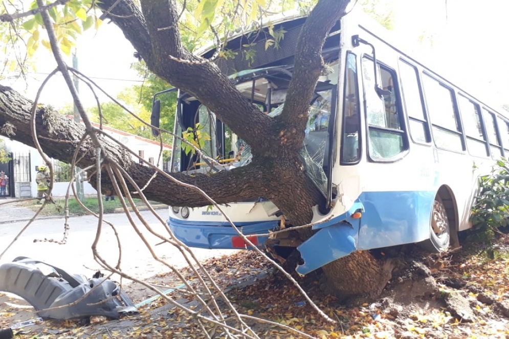 Tras el impacto, el colectivo terminó contra un árbol de la vereda de enfrente. 