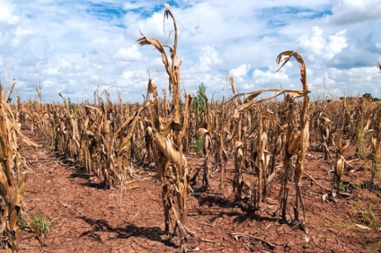 Sequía en Cañuelas: “es la peor en años”