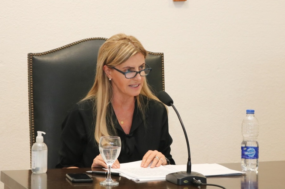 Fassi dando su discurso en el salón Manuel Belgrano del HCD.