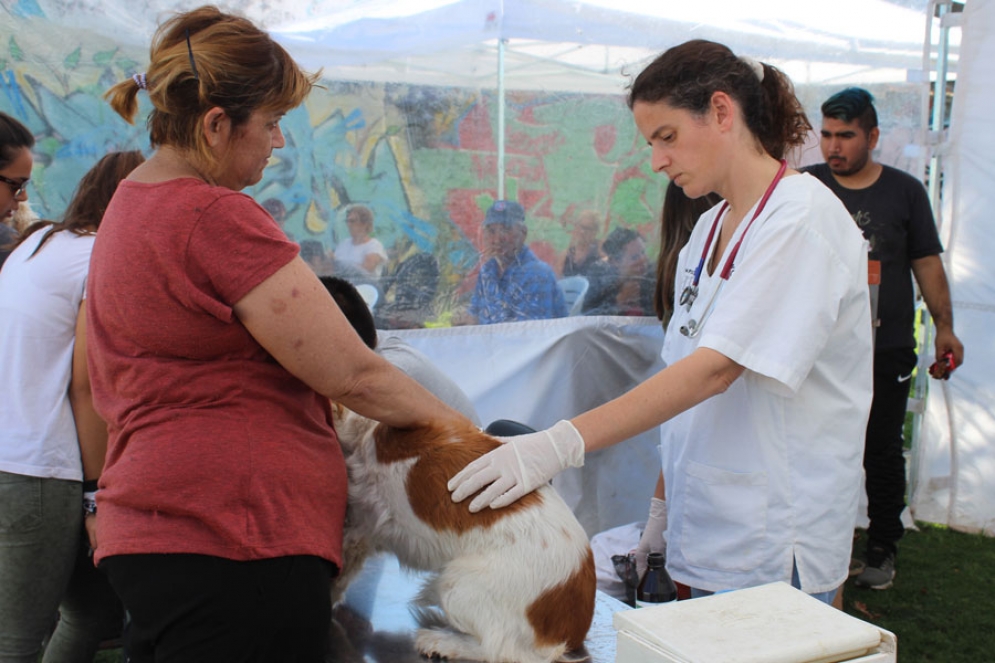 Una vecina vacunando a su mascota durante el inicio del operativo de esta mañana.