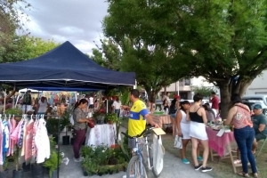 Feria de Mujeres: &quot;El 22 se hará una especial de navidad&quot;