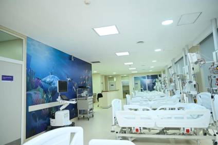 El Hospital Regional puso en marcha el angiógrafo e inauguró la Terapia Intensiva Pediátrica con siete camas