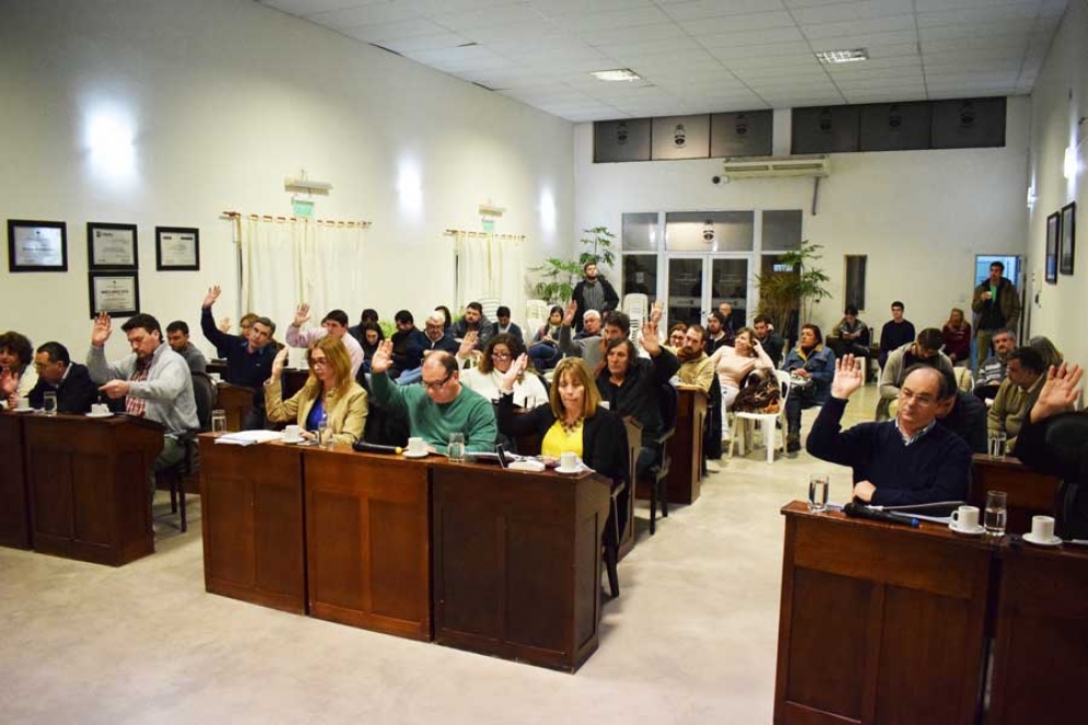 El HCD aprobó la intervención del municipio en el conflicto por la Línea 51