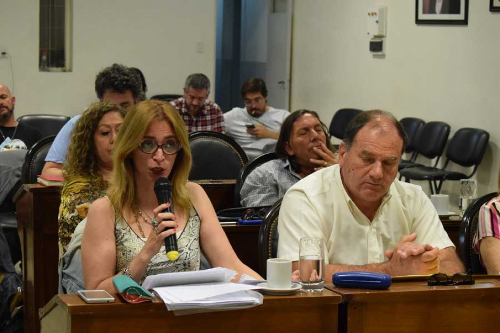 Antúnez, la defensora del proyecto del gobierno