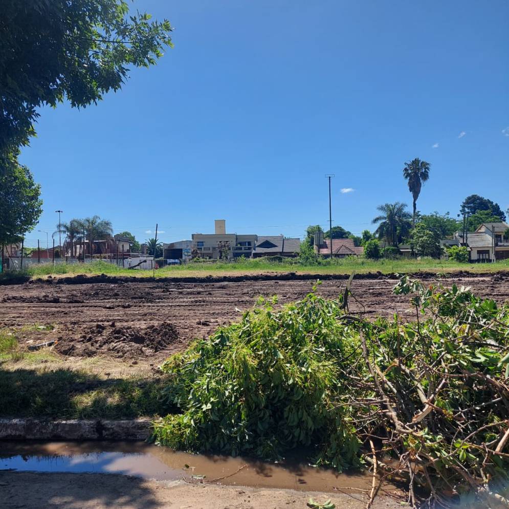 Los movimientos de suelos comenzaron hace alrededor de un mes.