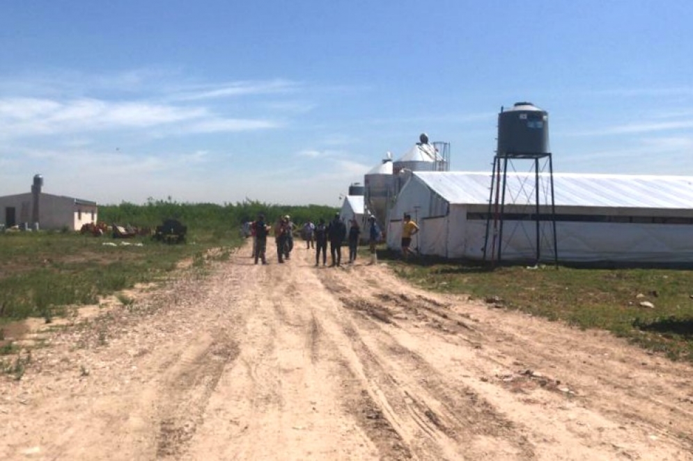 Las plantas fueron allanadas por la Policía Federal el pasado 2 de diciembre.