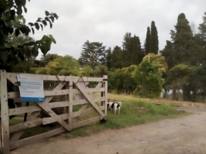 El pase privada de la calle Benavente.