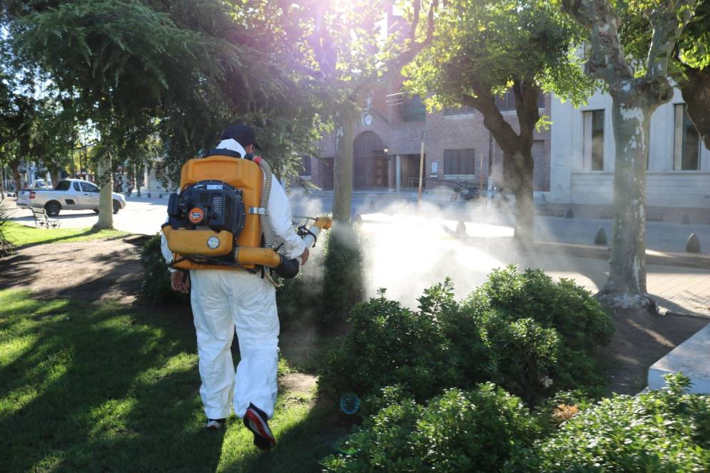 Se han llevado a cabo tareas de fumigación diarias en diversos puntos del distrito.