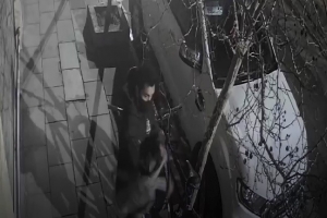 El ladr&oacute;n, "relojeando" que no haya testigos para dar el zarpazo. 