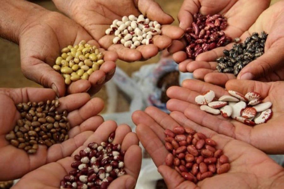 El &quot;Apthapi&quot; es una práctica andina que no solo consiste en compartir el alimento entre todos, sino que es un espacio para pacificar y vivir en armonía