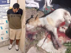 Romero está detenido en los calabozos de la Comisaría N°1. 