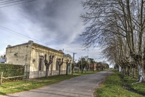 El proceso de migraci&oacute;n inversa pisa fuerte. (FOTO: Juan Riccelli).