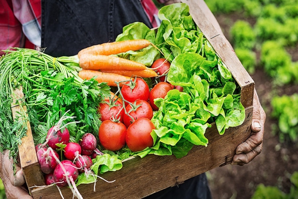 La Sociedad Argentina de Nutrición llevó adelante la actividad.