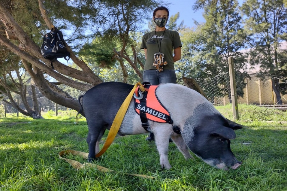 &quot;Samu&quot; junto a Carla en el Parque de la Salud.
