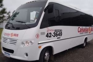 La empresa est&aacute; reacondicionando las unidades seg&uacute;n la reglamentaci&oacute;n.