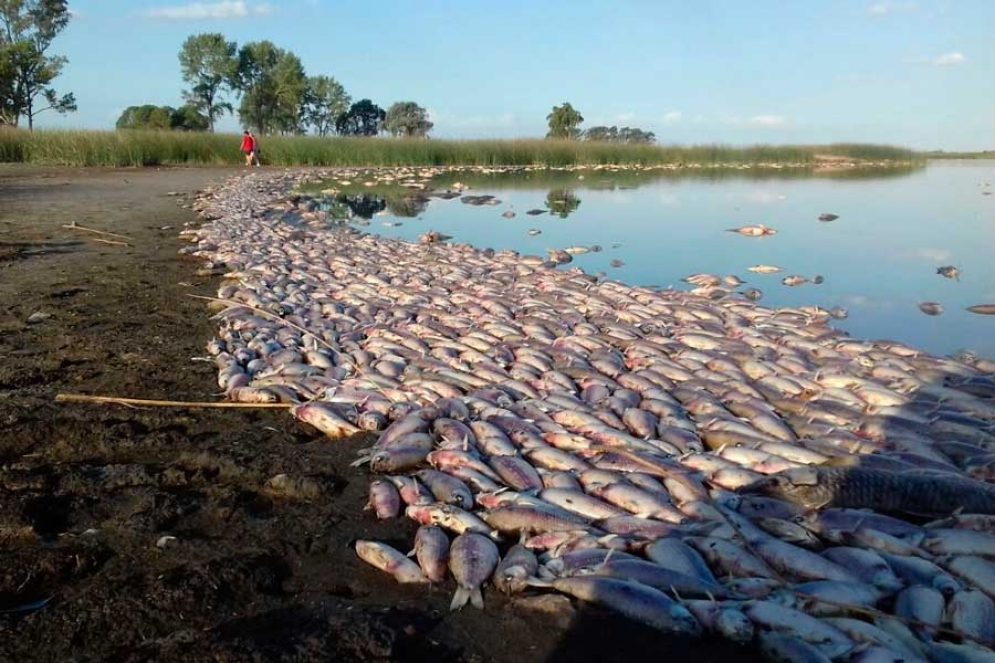 Abandono y desidia en la Laguna de Lobos