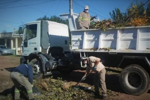 Uno de los infectados es de la cuadrilla de recolección de ramas y basura suelta. 